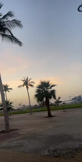 #الممشى الصباح هدوء ورائع #جيزان الكورنيش الشمالي