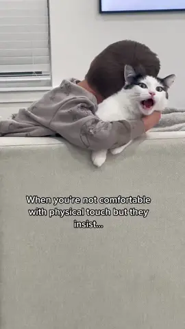 Help me #GrowingUpAsian #NoTouch #NoTouchingZone #SendHelp #FunnyCatVideo 