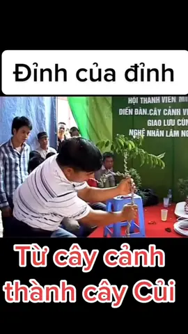 gãy mới đẹp #funny #viral #fyp #abcxyz #xuhuongtiktok  clip dạy uốn cho ae mới chơi cây
