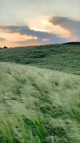 هاذي جدة #ربيع_جده #طريق_هدى_الشام #هاذي_جدة #جدة_الان #بر_جدة #هدى_الشام #مكة #وادي_فاطمه #تصويري #شتاء #جدة #الجموم #يافع #اليافعي 