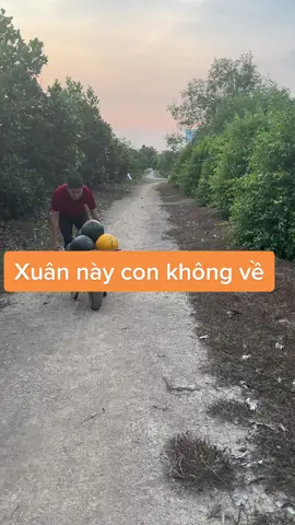 Xuân đã về Em có hay #minhluan 