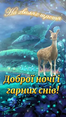 Доброї Ночі! Гарних Снів! Спокійних сновидінь! #доброїночі #доброїночібажаю🕊️ #доброї_спокійної_ночі_друзі🙏💜🇺🇦 #доброїмирноїночі 