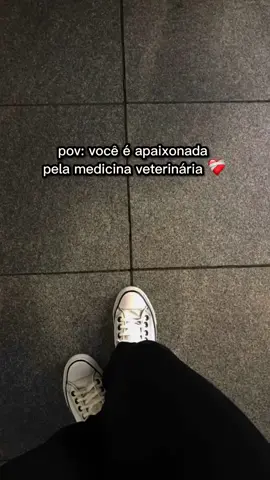 #medicinaveterinaria  #animais  #veterinaria 