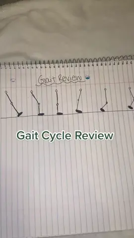 Quick review of the phases of the gait cycle 👣  #gaitcycle #phasesofgait #gait #biomechanics #walking #medtok #dptschool #dptstudent #pta #ptaschool #paschool #medschool #studywithme #medtiktok #phasesofwalking #fyp 