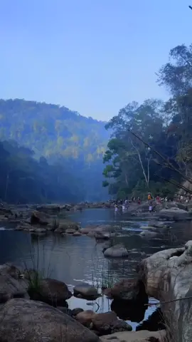 കണ്ണാടി ചില്ലൊലും കണി പമ്പ 🙏😍#pamba #sabarimala #sabarimalai #tamil #malayalam #mgsreekumar #sreelanka #pathanamthitta #swamiayyappa #foryou #foryoupage #dubai #fyp #trending #viral #tiktok 