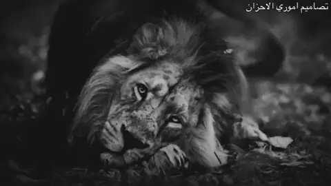 #☻️💔 #بليكات❤ #محضور💔☹️ #اكسبلور 