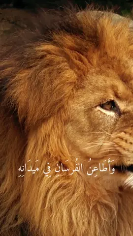 #CapCut #خليل_البلوشي #شعر #حالات_واتس_اب 