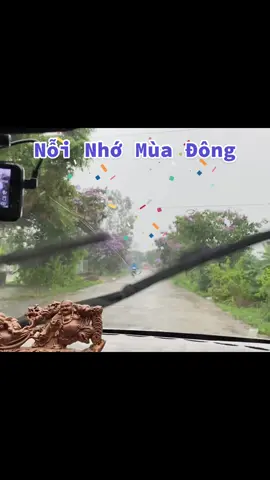 ♥🌸Nỗi Nhớ Mùa Đông🌺♥️ nằm nghe xôn xao tiếng đời mà ngỡ ai đó nói cười..,, 😘😞🥰 #thanhha💕💕 #nhachaymoingay🌸🌸🌸 #vuicungtiktok❤️❤️ #kyniemnhungchuyendi🌺♥️ 