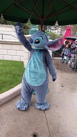Stitch!!  #disney #disneyparks #disneyworld #stitch 