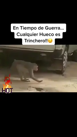 En tiempo de guerra cualquier huevo es trinchero. #dúo #fypシ #tiktok #facebook #instagram #parati #youtube #tiktoker #demasiadofacil #influencer #emprendedor #youtuber #pov #twitter #creadordecontenido #thuglife @TikTok en español @TikTok 