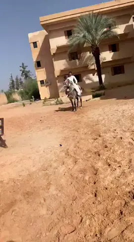 كلية الصحة العجيلات #عقدالعزه العجيلات
