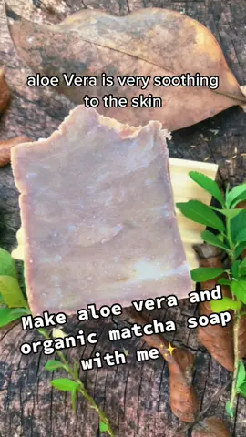 #naturalsoap #holisticliving #soap #naturaliving #naturallifestyle #crunchy #homestead #homesteadlife #nontoxic #nontoxicdiy #nontoxliving #holisticliving #nontox #lowtox #nontoxicproducts #handmadesoap #naturalingredients