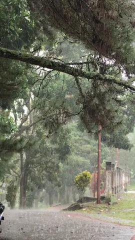 #fyp #sadvibes #sad #sadstory #vibes #hujan