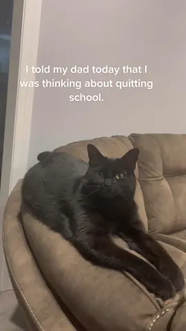 #ManyAdventuresOfCaptJack #CatsOfTikTok #BlackCatsOfTikTok #CaptJack #BlackCats #Cats #GangsterCat #Gangster #screammovie #DaddysBoy #fyp #CatChillin #GhostfaceVoice #fypage   #GangstersParadise #CatLivingTheGoodLife  