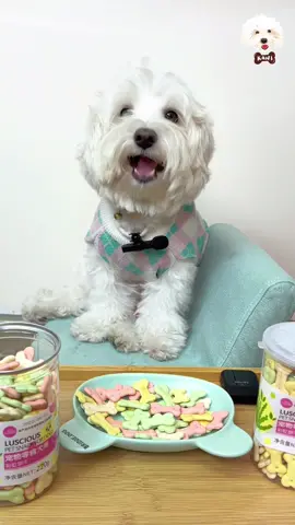 Luscious Deodorizing Biscuit ASMR time 🤪🐶✨🐾 Don’t forget to feed moderately! #lusciousphilippines #kanifam #mukbangkani #kaniandpets #yourdoggokanisushi #kani #anypetsofficial #lusciousbiscuit #dogmukbang 