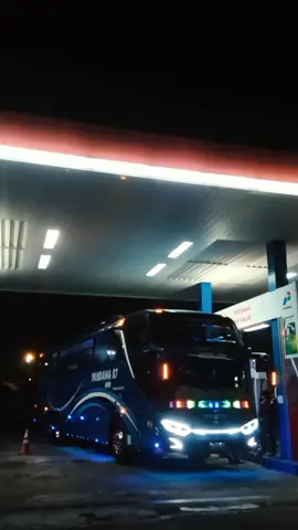 ZHOKABO PDW406 #pandawa87 #videobus #cinematikbus #viralvideo #busmania #fypシ 