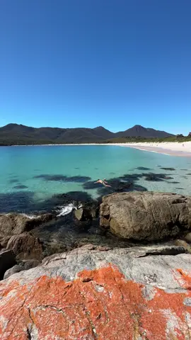 Absolute scenes here in @Discover Tasmania in the Freycinet National Park  🤍💦🔥 Wineglass Bay putting on some extraordinary conditions for us today! #tasmania #australia 
