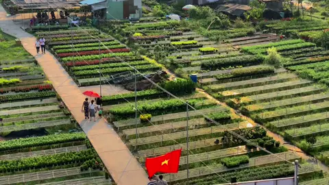 Bạn đã từng đi làng hoa Sa Đéc chưa ? #travel #dulich #phuot #dongthap #sadec #travelwithlove