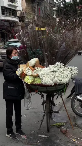 Sắc xuân Hanoi, #dailyvlog #xuhuong #tungkong #vtvlive 