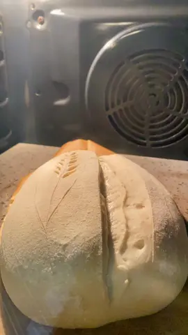 #sourdough #sourdoughbread #homebaker #pourtoi #OhNo #timelaps #timelapsevideo #junk 