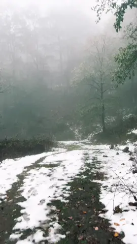 جبال الغرة ولاية الطارف الجزائر 