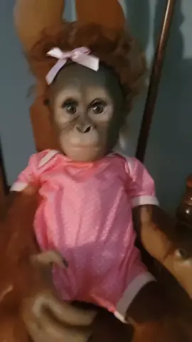 ohhhhh lawd this just got more interesting #annabelle #annabelledoll #haunted #hauntedmonkey #shecutetho 