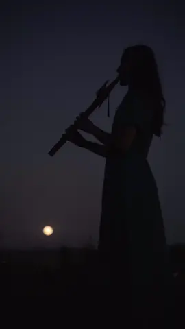 • o som traz a cura de muitas formas. A flauta nativa me traz a memória a natureza, a terra, o chão e os meus ancestrais. A flauta nativa tem o poder de desenvolver em nós uma musicalidade espontânea fluida, prazerosa e terapêutica. Reduz ansiedade, conduz ao relaxamento, nos coloca em ressonância com a natureza, além de favorecer estados meditativos e contemplativos. • “Filmado em 2020 com flauta nativo americana do Brasil”  . . . . . #flutenative #flutemusic #music #nativetiktok #musicaindigena #indiosbrasil #musicabrasileira #flautanativa #luacheia #singer 