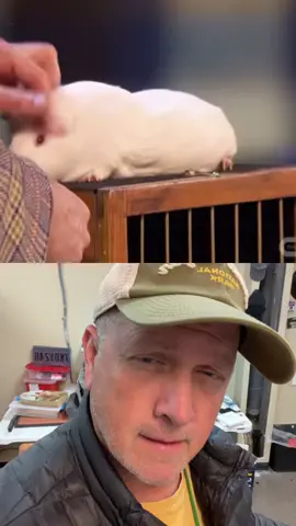 #duet with @themagicvault #yummy I have the utmost respect for magicians, they are actors, prop masters and editors all wrapped into one . . . and they don’t get a second take.  