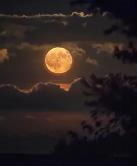 the moon it's beautiful, isn't it ? #moon #themoonisbeautifulisntit #GenshinImpact34 #fypシ゚viral #fypdong #fyp #fypシ 