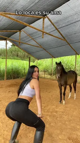 #amazona #grajera #caballo #equino 