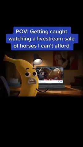 The horses all look nice until you see that price tag 😫  #CapCut #trending #fypシ #foryoupage #horsetok #horsesoftiktok #horsegirl #horseriding #quarterhorse #barrelhorse  #throughbred #livestock #horsetok #saddle #farmlife #equestrian #horsestuff #auctioneer  