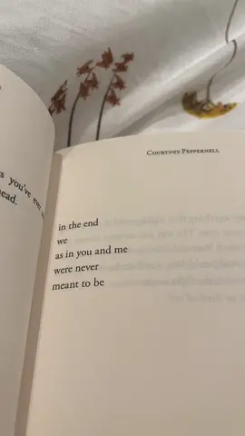 We were never meant to be #poetry #poems #foryoupage #fy #courtneypeppernell #pillowtoughts 