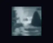 #بلكي #اسمع #خبر#عنهم 