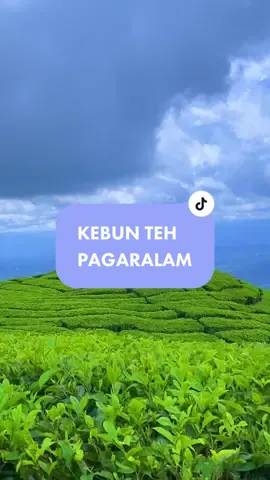 tempat healing warga sumsel dan sekitarnya , kapan kalian ke puncak gais? #prabumulihinsta #prabumulih #pagaralam #kebunteh #fyp 