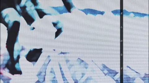 ルカワ！ルカワ！LOVE！ルカワ！#流川楓#スラムダンク 