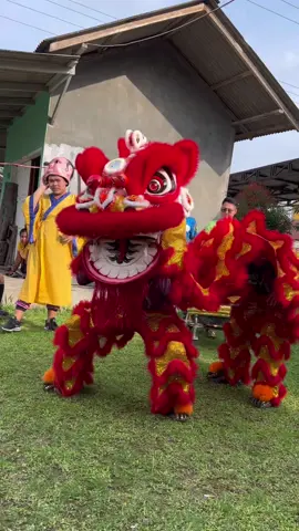 Nyari job sampingan dulu..  #gongxifacai #barongsai #imlek2023 #makbeti #mamakbeti #fyp #beti 