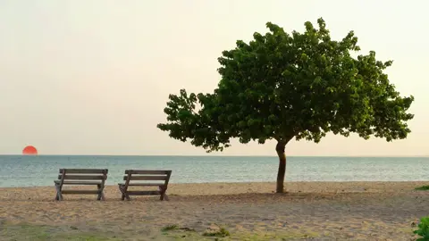 Bình yên là khi ngoảnh lại những năm tháng đã qua, thấy gập ghềnh chông gai lởm chởm. Thế mà mình vẫn còn ngồi đây với một vài vết xước nhỏ đã phai màu. #tamtrang #canhdep #nhacnaychillphet #phongcanhdep9 #fyp #tetmaiman #xuhuong 