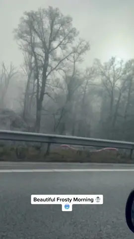 Frosty morning #freezing #frosty #frostymorning #colduk #fyp 