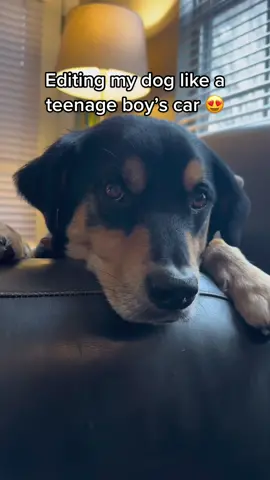 😍😂😍