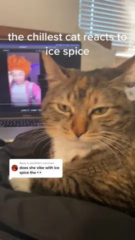 Replying to @phe333x she in ha mood, like..? 💆‍♀️ #icespice #inhamood #cat #hiphop #rap #raptok #cats #catsoftiktok #justwannarock #funny #foryou #fyp
