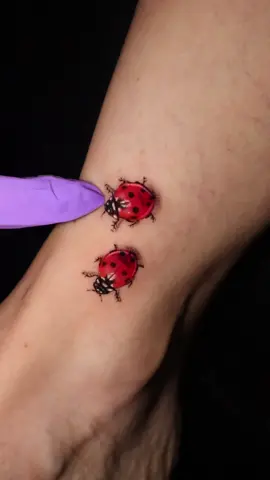 Siganme en insta💜 #venezuela #venezuelatattoo #tattoobug #ladybugtattoo #microrealismotattoo #microrealistictattoo 