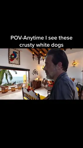 #mexican #twd #thewalkingdead #whitedog #crustydog #curstydustymustydog 