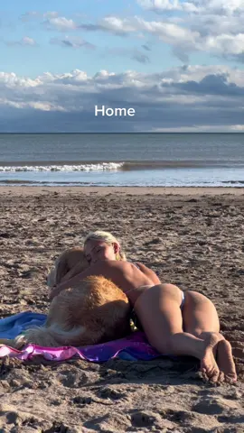 Llegando juntas para la siesta 🥺❤️🥹 #goldenretriever #goldenretrieverlife #dog #dogsoftiktok #dogsviral #fyp ☺️ #lovestory 