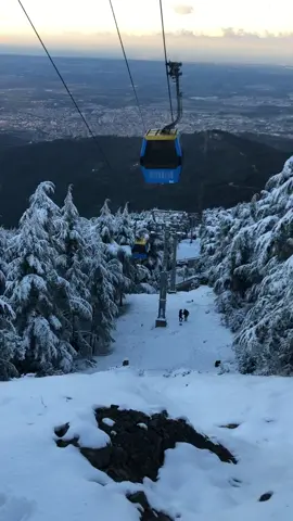 صباح الخيرات 🥰❄️❄️ #ثلج #شتاء #جبال_شريعة #الشريعة #البليدة #الجزائر #tiktok #fypシ゚viral #foryou #100k #fyp #إكسبلور 