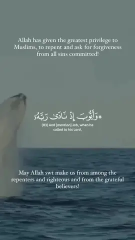Follow for more Islamic videos. . . . @peace_exist ✅ @peace_exist ✅ @peace_exist ✅ . . . #islam #muslim #islamicquotes #thetruth #muslimah #peace #ummah #mohammed #Allah #allahuakbar #quranverses #quranrecitation #salam #qurandaily #truepeace  #prophetmuhammad #belief #faith #shahada #prayer #dua #peacebewithyou #salah #quran #hajj #charity #fivepillarsofislam #nyc #america #peaceexists 