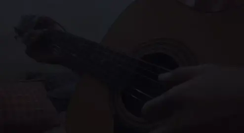 terrified #guitartok #fingerstyle 
