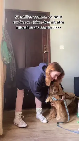 Les chaussettes nounours c’est vraiment la touche finale 😻  #cockerspaniel #outfitideastowalkyourdog 