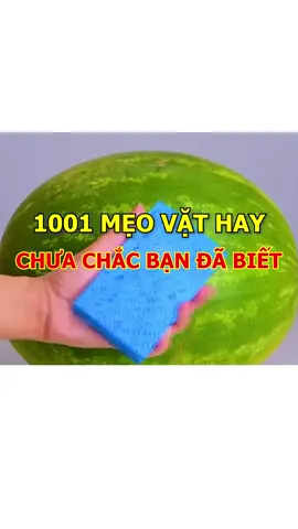 Mẹo thần ký với kem đánh răng #meovat #biquyet #meohay #xuhuong #LearnOnTikTok #kemdanhrang #trangrang #khumui #lamsach #lamsachgiay