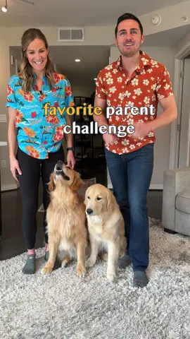 Favorite parent challenge best of three with @shopdogthreads #DTpartner #dog
