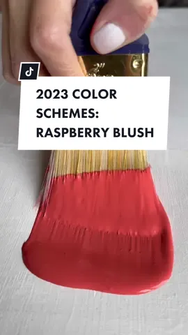 #painttok #paintcolors #colorscheme #hometips #colortrends 